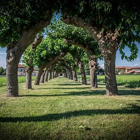 Oda ve Kahvaltı Minini Rive d'Arcano