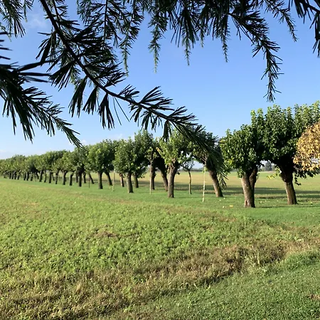 Minini Rive d'Arcano