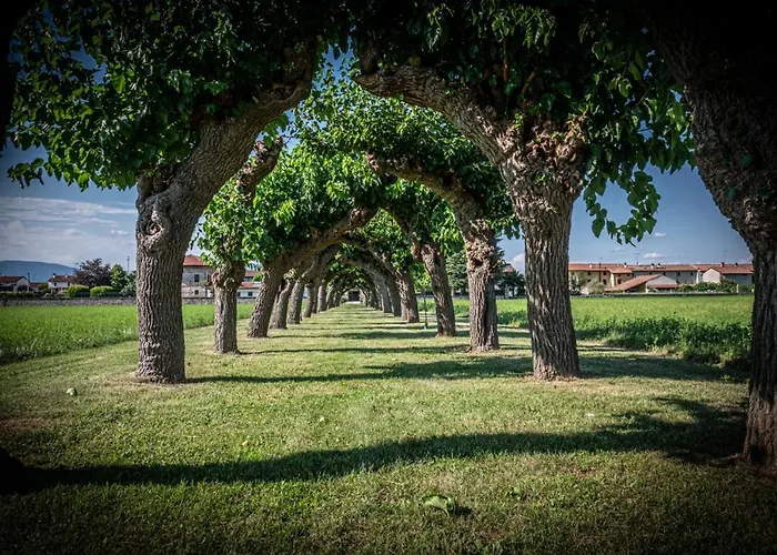 فندق مبيت وإفطار Minini Rive d'Arcano