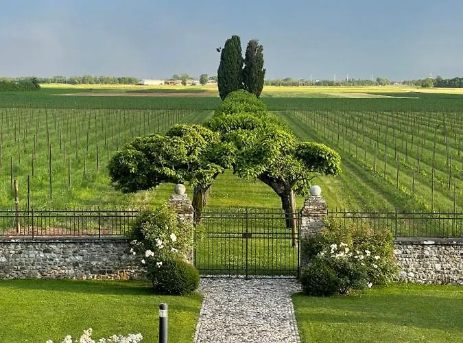 Minini 4* Rive d'Arcano