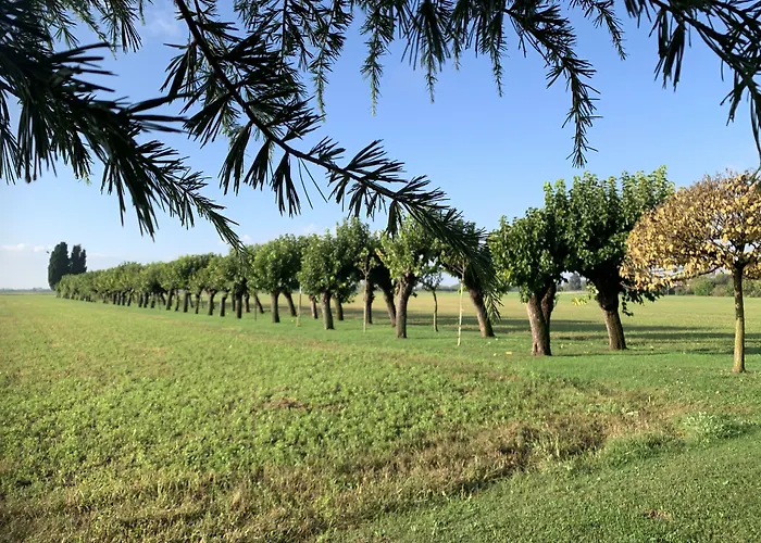 Minini Rive d'Arcano